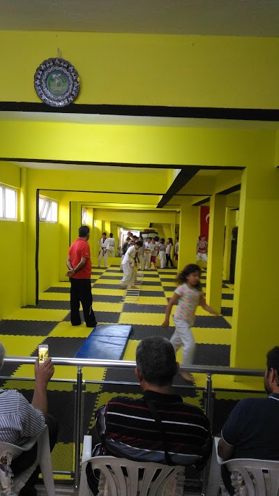 Büyükkurt Taekvando Sports Club