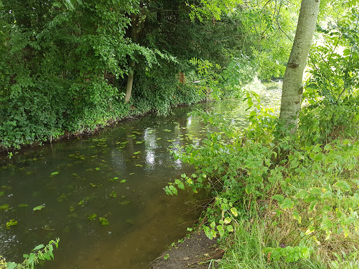 Civic Park, Ashford, Kent - Thumbnail