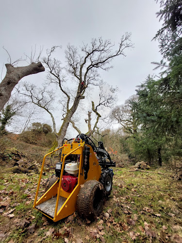 Gavin Hendry Tree Surgery & Grounds Maintenance