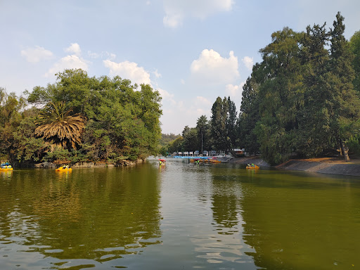 Chapultepec Lake - Visual