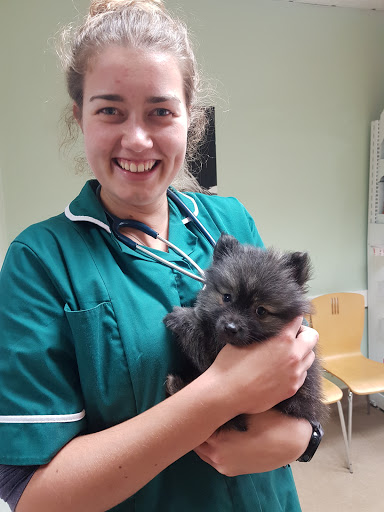 Endell Veterinary Group - Thumbnail