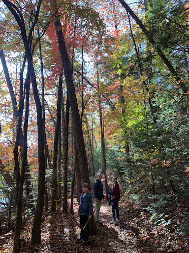 Dockery Lake Recreation Area - Thumbnail