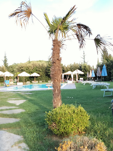 Pere e Margherite - Visual