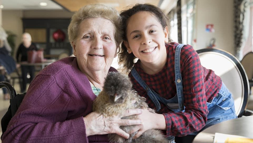 Photo de Résidence Saint-Vincent-de-Paul à Angicourt (60940)