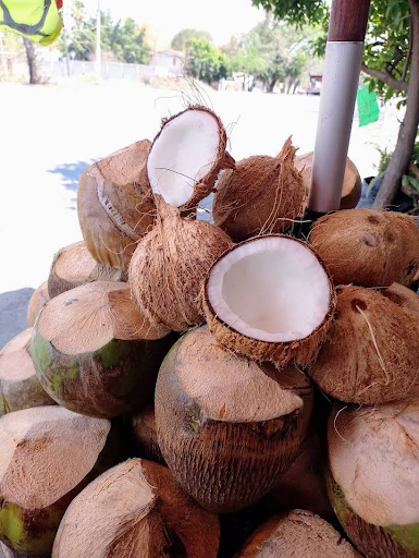 COCOsDRILO - Visual