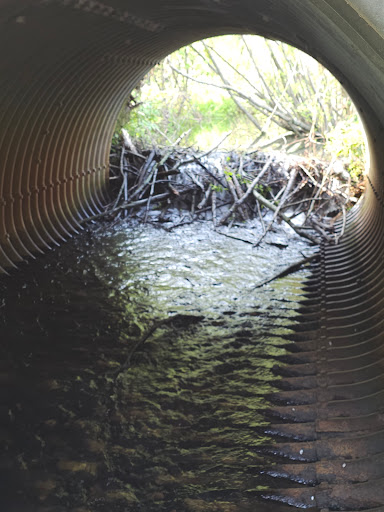 Vosse Coulee State Natural Area - Thumbnail