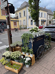 Photo n°19 de Monceau Fleurs à Strasbourg (Fleuriste)