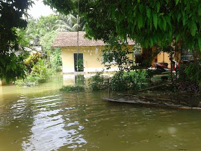 Photos of Sewwandi Multi Shop