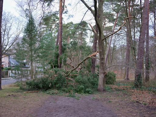 Messelpark - Visual