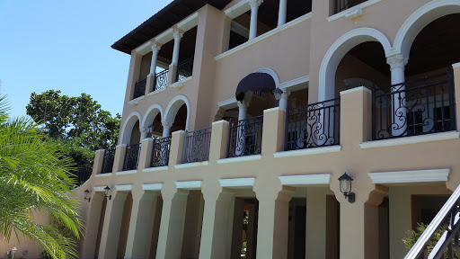 Electrostatic Paint Solutions - Visual