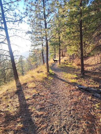 VV & E Heritage Trail - Thumbnail
