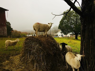 Land Basket Farm