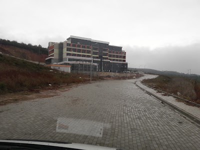 Photos of Kocaeli City Forest