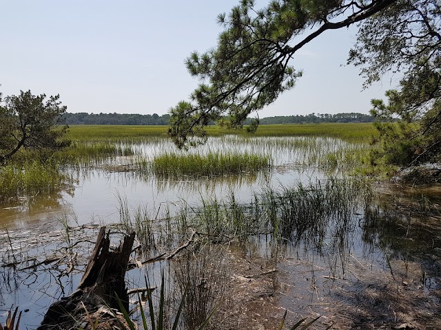 Wormsloe State Historic Site