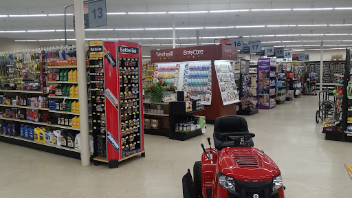Redbud True Value - Visual
