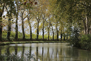 Photo n°5 de La Souqueto Accommodation à Mirepeisset (Location d'appartement de vacances)