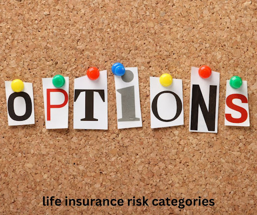 Life Insurance Risk Classification - Coach B. Insurance