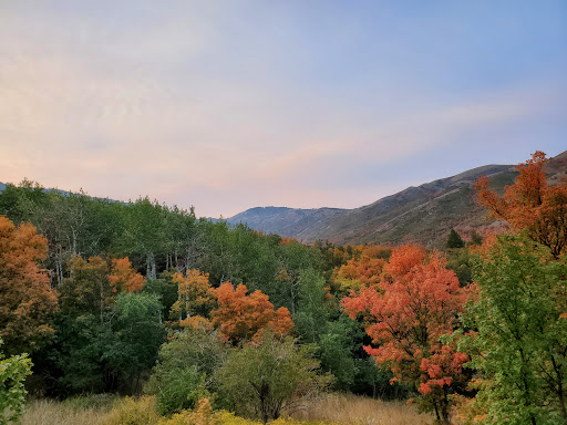 North Fork Park - Visual