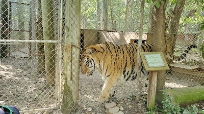 Exotic Feline Rescue Center