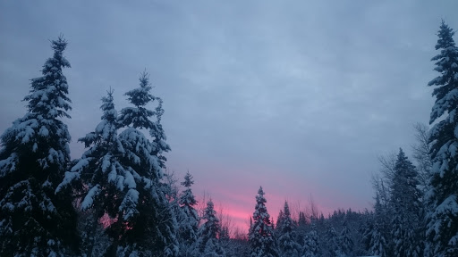 Welcome To Finland, MN