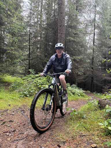 Dalby Forest - Visual