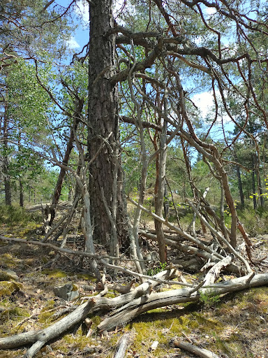 Sörmlandsleden, etapp 5:2 - Thumbnail