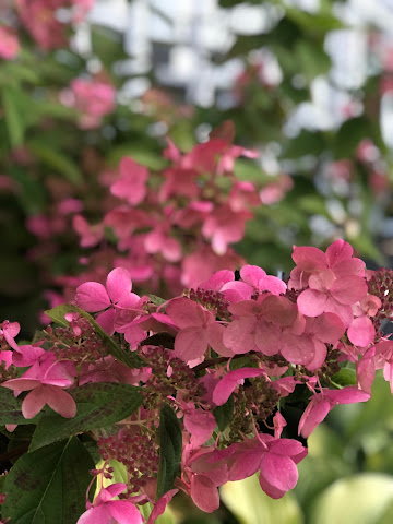 Cloghaun Bed & Breakfast by null