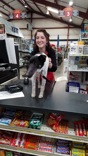 Gold Country Ace Hardware - Thumbnail