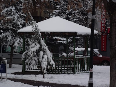 Barış Manço Parkı