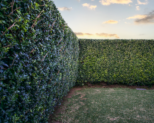 Illawarra Yard Maintenance - Thumbnail