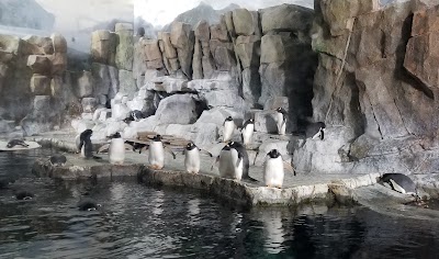 Loveland Living Planet Aquarium