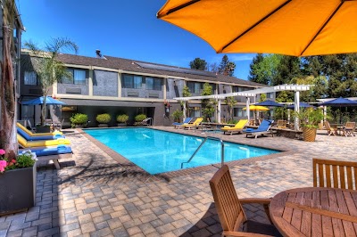 Photos of Maple Tree Inn