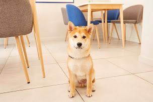 Photo n°54 de KOOC BAO à Nice (Bistro)