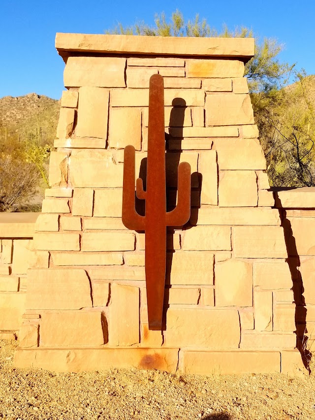 Parc national de Saguaro