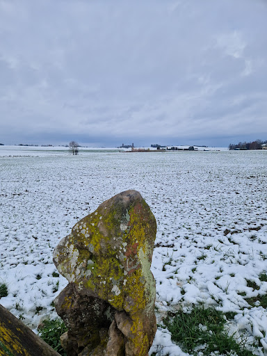 Nonnenstein - Visual