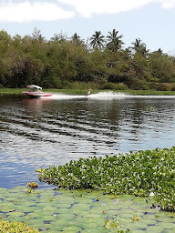 Photo n°24 de Le Z'oiseau Vert - Locations de Vacances à L'Étang-Salé (Agence de location de maisons de vacances)