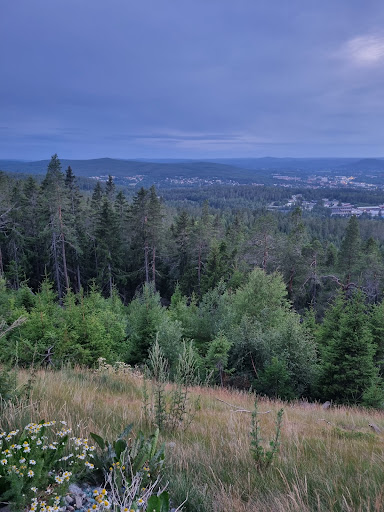 Sundsvall Södra berget - Thumbnail