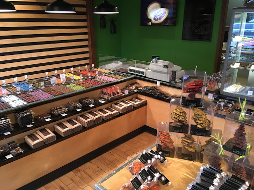 Cotard Chocolatier - Visual
