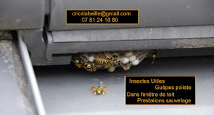 Photo n°4 de Désinsectiseur 56 & Apiculteur 56 cricrilabeille , ADP-s Apiculture Désinsectisation Piégeage services 56 à Mauron (Miellerie)