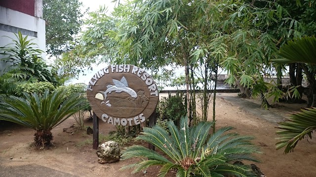 Flying Fish Resort