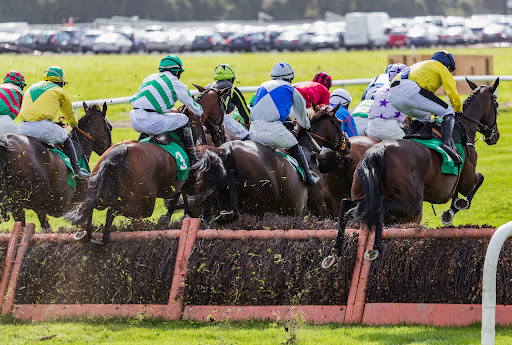 McDiarmid Equine Consultancy Gallery - United Kingdom