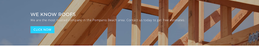 2 Men Roofer - Visual