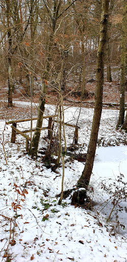 Nigmann Teich - Visual