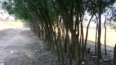 Photos of Chea Sim University of Kamchaymear (CSUK)