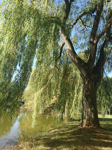 Speckswinkeler Teiche - Thumbnail
