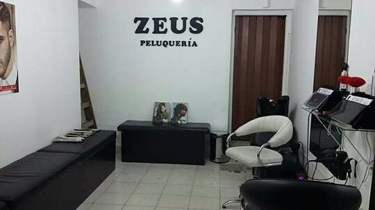 Zeus Peluqueria 2, Author: Milagros Alderete