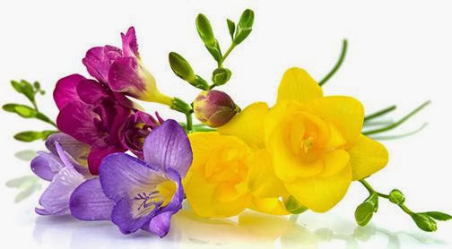 Pico Rivera Flower Shop by Lety's Creations & Gifts - Thumbnail