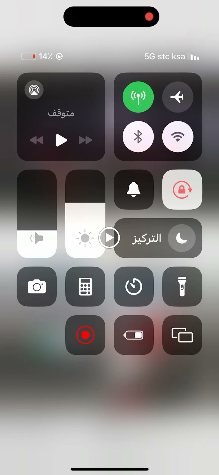 معرض سهوم المنايا للسيارات - صورة 2