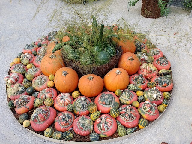 Festival International des Jardins De Chaumont-sur-Loire