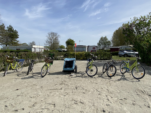 Camping des crocs - Thumbnail
